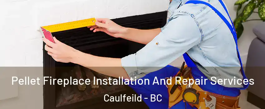  Pellet Fireplace Installation And Repair Services Caulfeild - BC