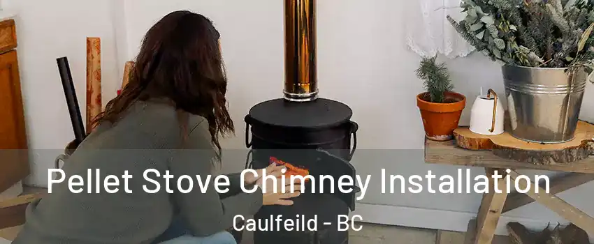  Pellet Stove Chimney Installation Caulfeild - BC