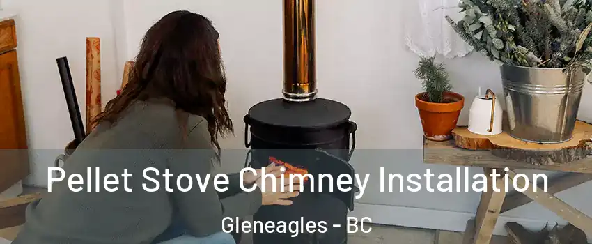  Pellet Stove Chimney Installation Gleneagles - BC