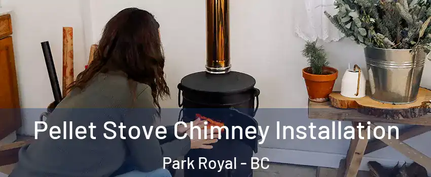  Pellet Stove Chimney Installation Park Royal - BC