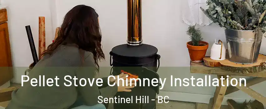  Pellet Stove Chimney Installation Sentinel Hill - BC
