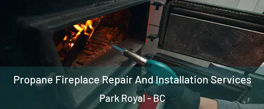 Propane Fireplace Repair And Installation Services Park Royal - BC