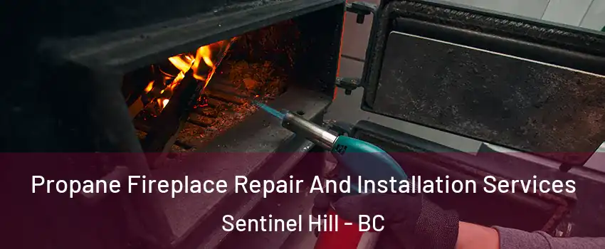 Propane Fireplace Repair And Installation Services Sentinel Hill - BC