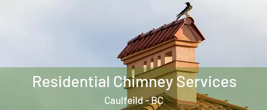  Residential Chimney Services Caulfeild - BC