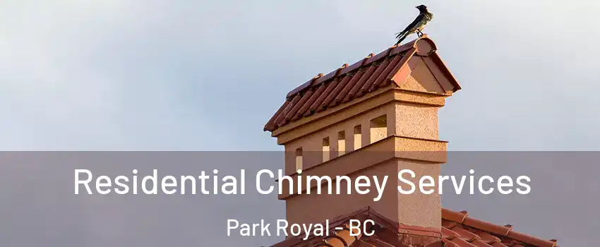  Residential Chimney Services Park Royal - BC