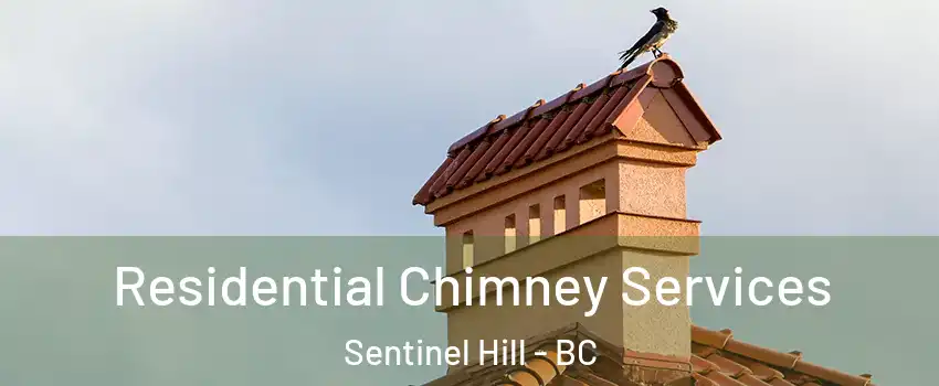  Residential Chimney Services Sentinel Hill - BC