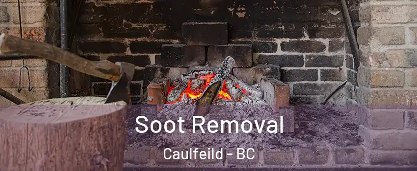  Soot Removal Caulfeild - BC