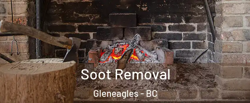  Soot Removal Gleneagles - BC