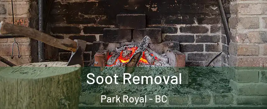  Soot Removal Park Royal - BC