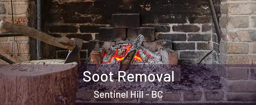  Soot Removal Sentinel Hill - BC
