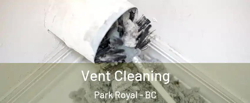  Vent Cleaning Park Royal - BC