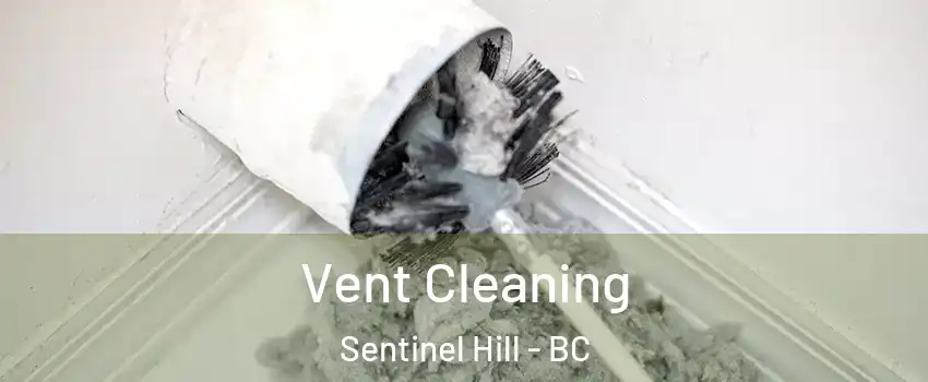  Vent Cleaning Sentinel Hill - BC