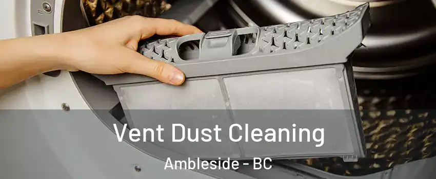  Vent Dust Cleaning Ambleside - BC