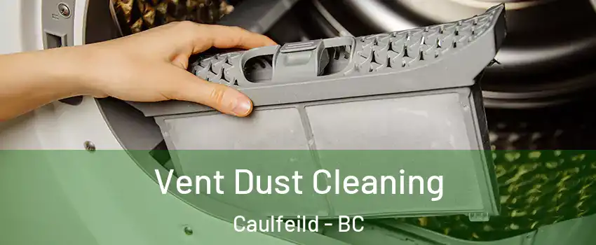  Vent Dust Cleaning Caulfeild - BC