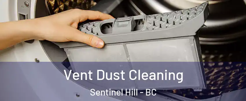  Vent Dust Cleaning Sentinel Hill - BC