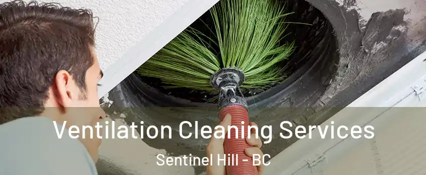  Ventilation Cleaning Services Sentinel Hill - BC