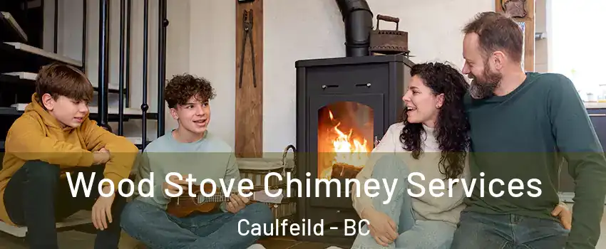  Wood Stove Chimney Services Caulfeild - BC
