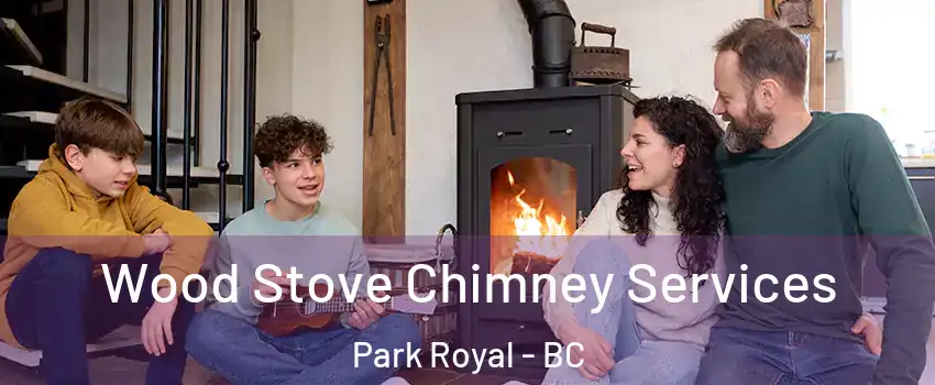  Wood Stove Chimney Services Park Royal - BC