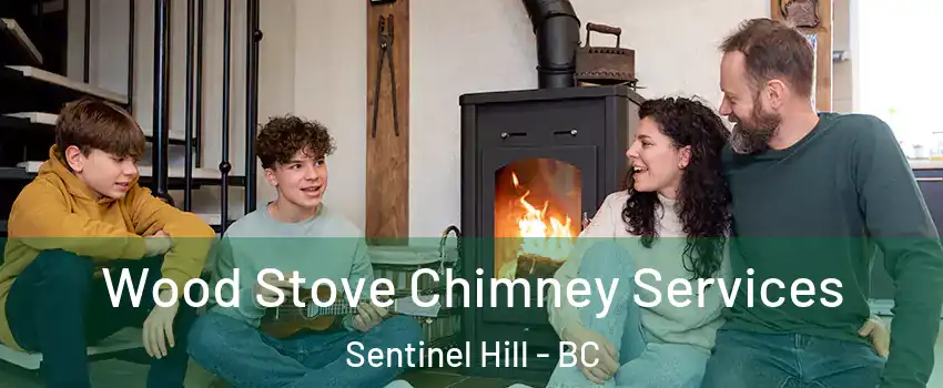  Wood Stove Chimney Services Sentinel Hill - BC