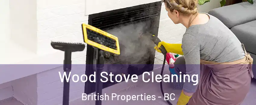  Wood Stove Cleaning British Properties - BC