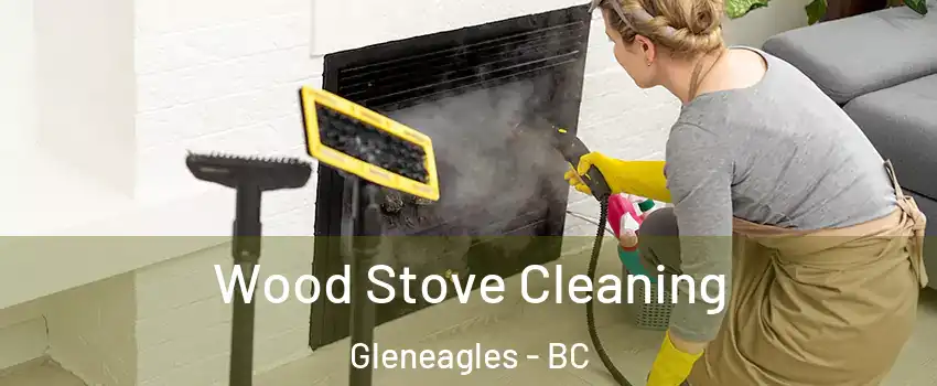 Wood Stove Cleaning Gleneagles - BC