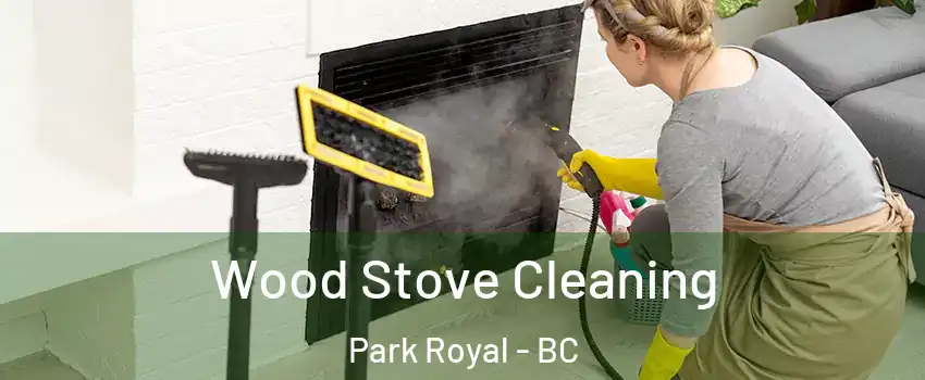  Wood Stove Cleaning Park Royal - BC