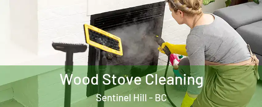  Wood Stove Cleaning Sentinel Hill - BC