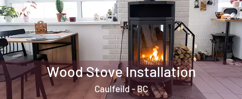  Wood Stove Installation Caulfeild - BC