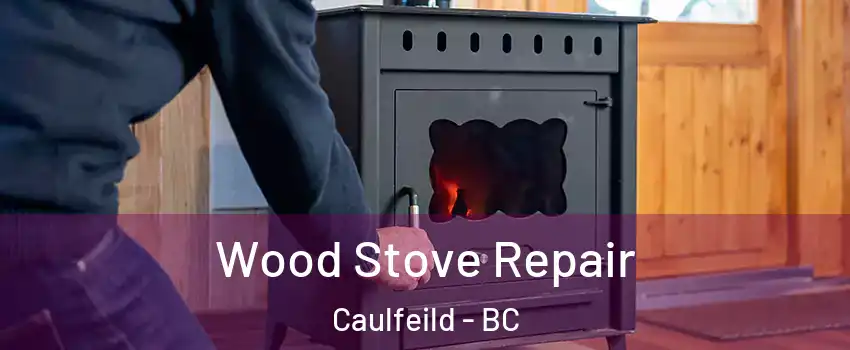  Wood Stove Repair Caulfeild - BC