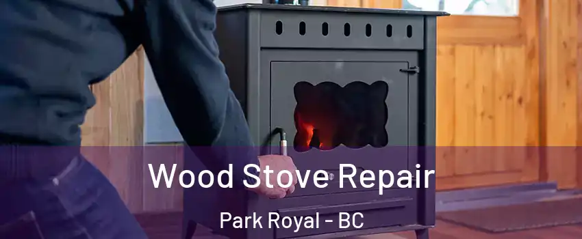  Wood Stove Repair Park Royal - BC