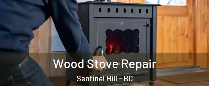  Wood Stove Repair Sentinel Hill - BC